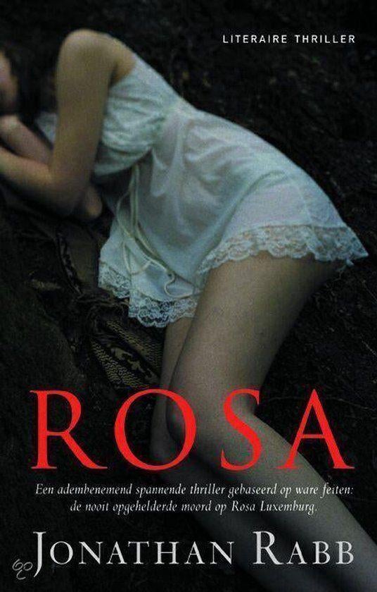 Te Koop Boek ROSA Jonathan Rabb, Livres, Thrillers, Utilisé, Amérique, Enlèvement ou Envoi