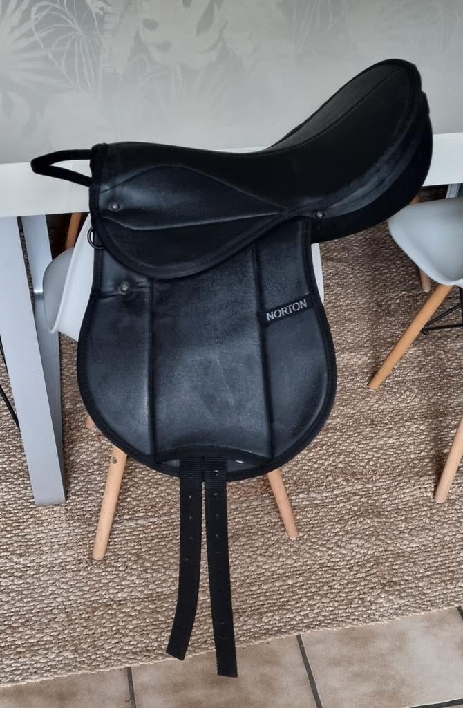 Selle éducative Norton "Rexine Junior", Animaux & Accessoires, Enlèvement, Comme neuf, Récréation