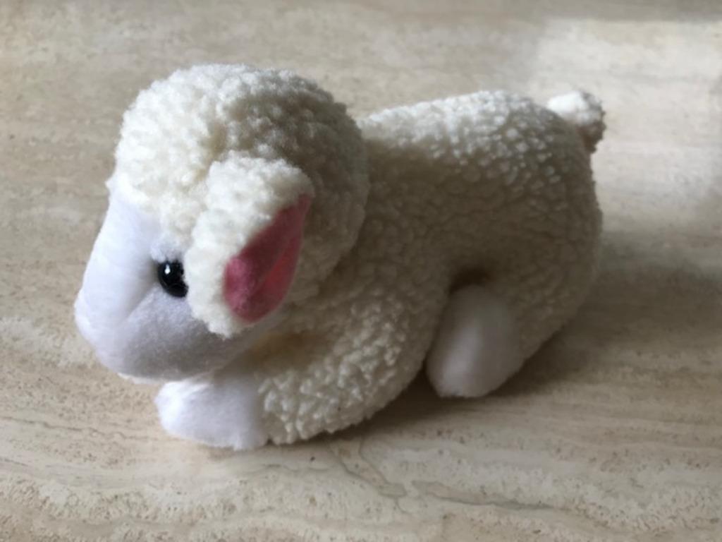 Nieuwe knuffel "Schaap" - wasbaar (zn5514), Kinderen en Baby's, Speelgoed | Knuffels en Pluche, Ophalen of Verzenden, Nieuw, Overige typen
