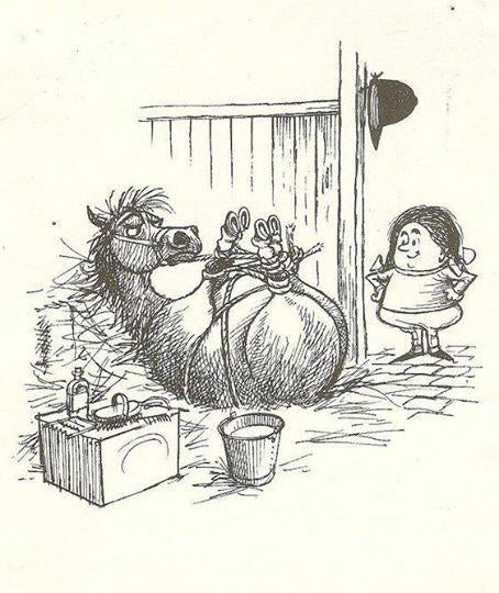 TONTE ET TOILETTAGE CHEVAUX ET PONEYS, Ophalen, Nieuw