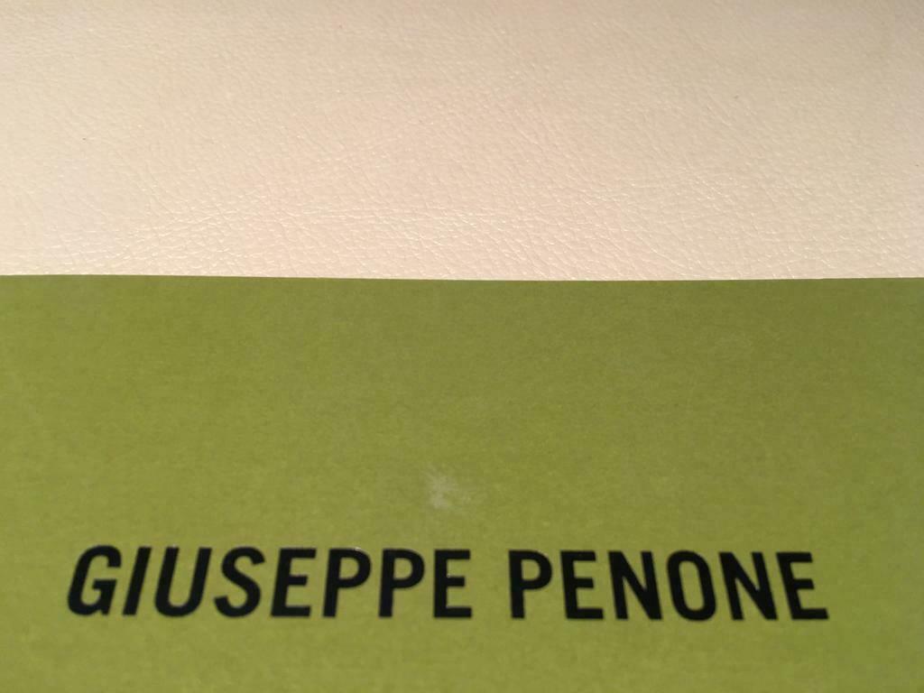 Giuseppe Penone Arte Povera artistbook 45pag, Ophalen of Verzenden, Zo goed als nieuw, Beeldhouwkunst