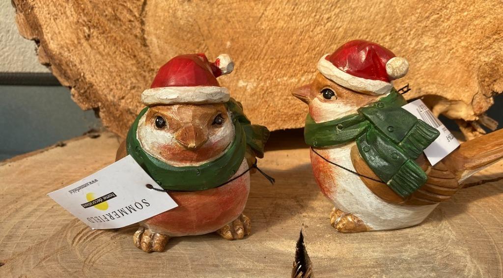 VOGEL KERSTMUTS EN SJAAL NIEUW, Ophalen of Verzenden, Nieuw