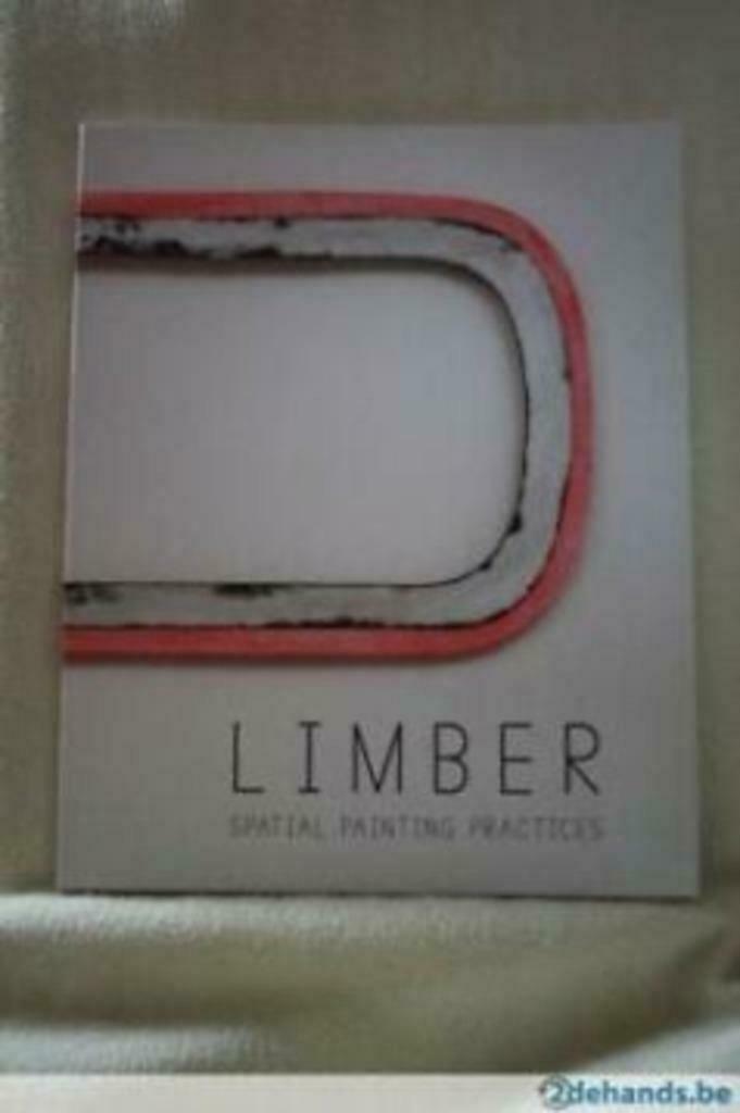 Limber Spatial Painting Practices /Des Pratiques Picturales, Ophalen of Verzenden, Gelezen, Overige onderwerpen