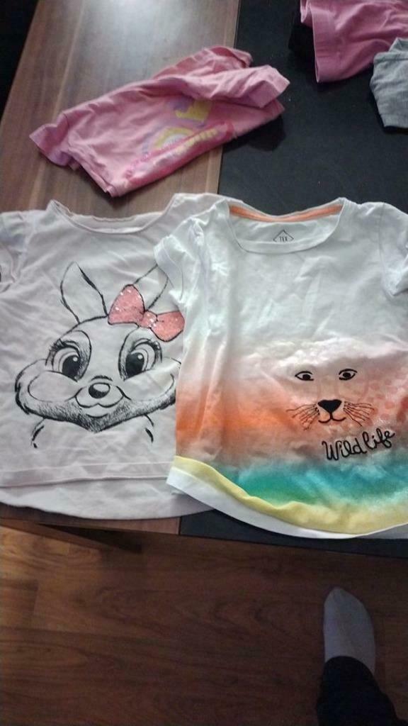 Lot de 2 t-shirt lapin et lion taille 3-4ans fille, Enlèvement ou Envoi, Comme neuf, Fille, Chemise ou À manches longues