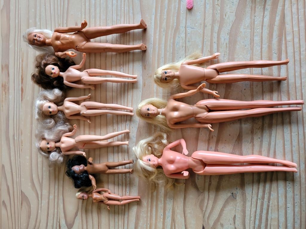 Barbie en accessoires, Kinderen en Baby's, Ophalen, Gebruikt