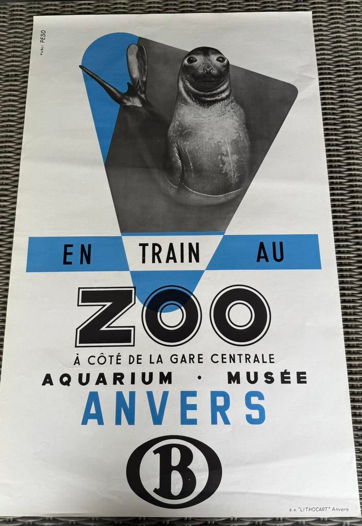 poster Zoo Antwerpen zee olifant Lithografie uit de jaren 60, Enlèvement ou Envoi, Comme neuf