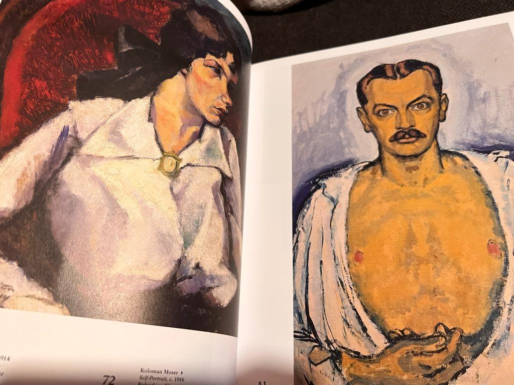 Au-delà de Klimt, de nouveaux horizons en Europe centrale, Enlèvement ou Envoi, Comme neuf, Peinture et dessin