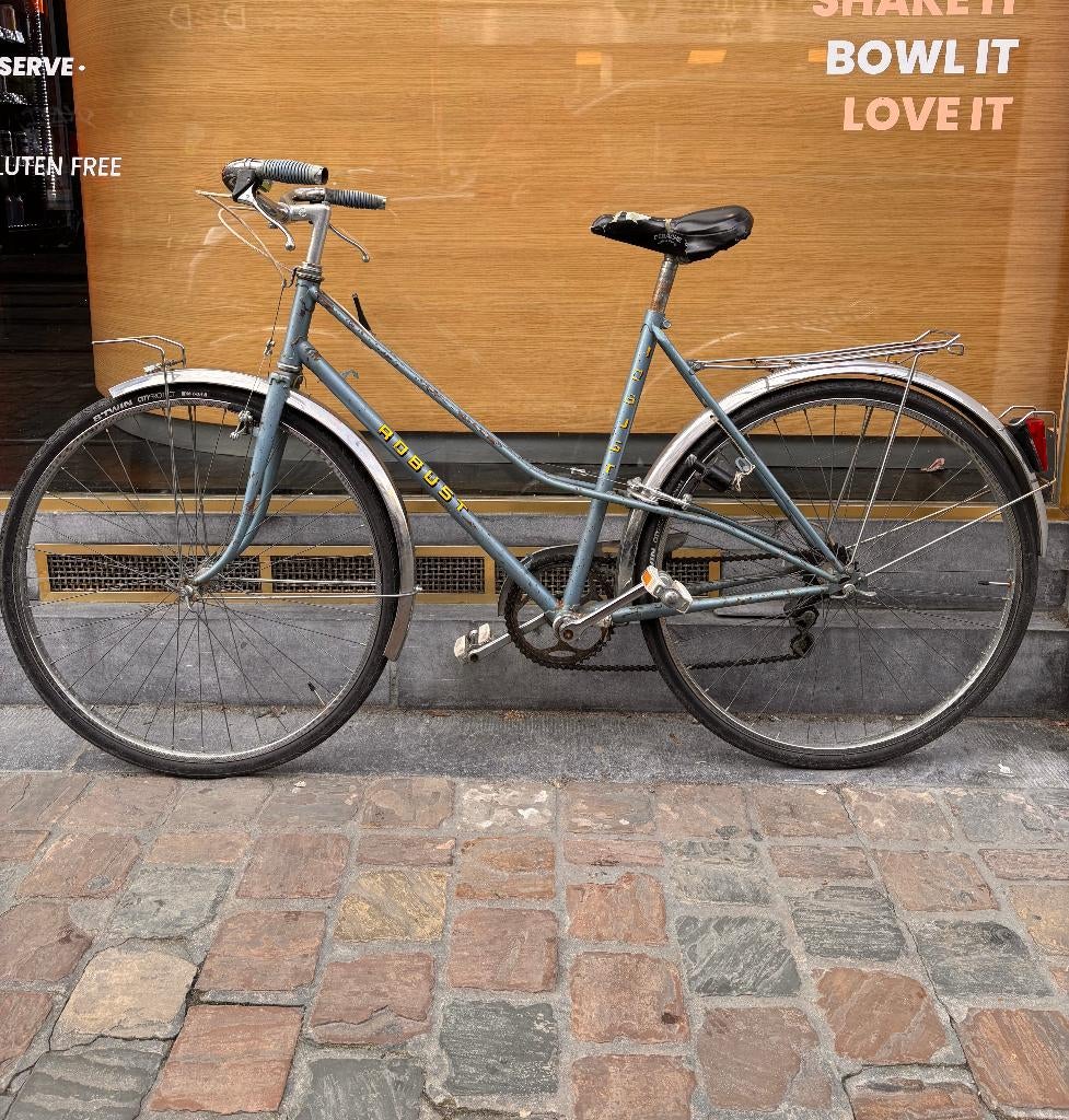 Vélo VINTAGE ROBUST, Enlèvement, Utilisé, Autres marques, Vitesses