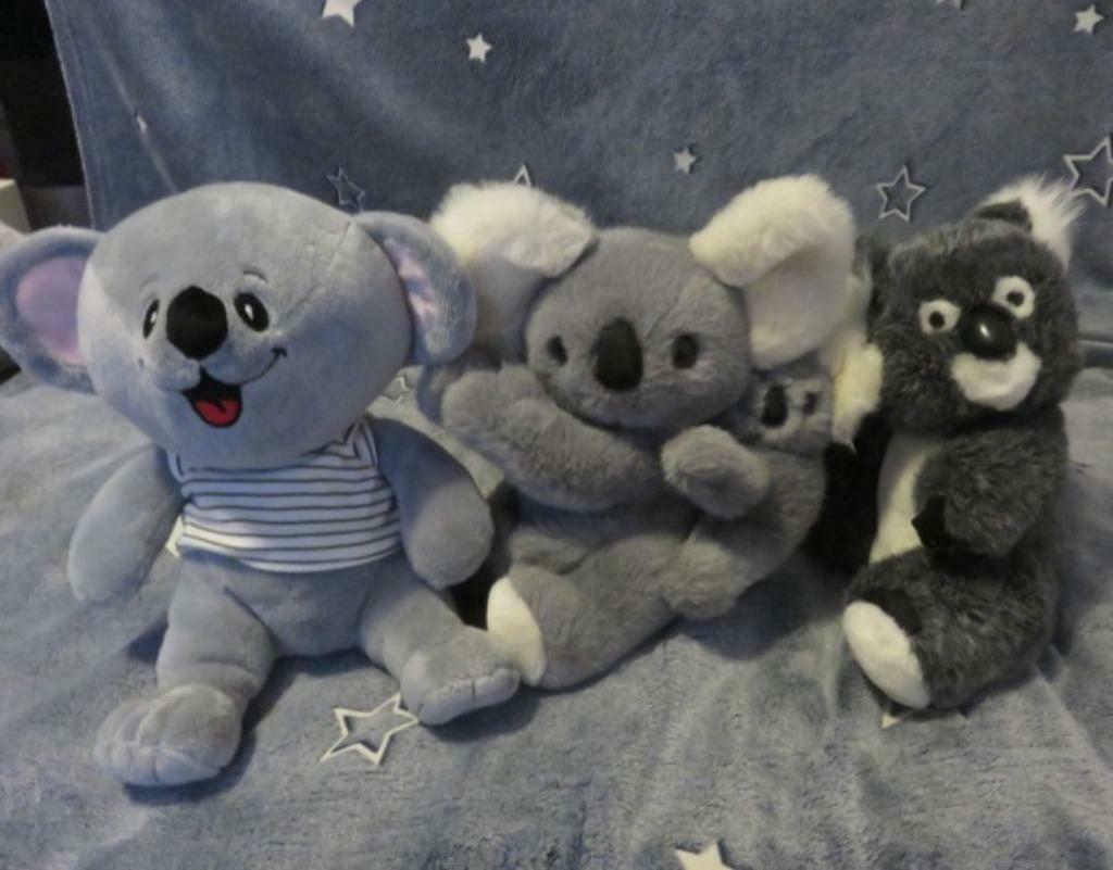 3 Koalaberen - Koala - knuffelberen - knuffel, Enlèvement ou Envoi, Comme neuf, Autres types