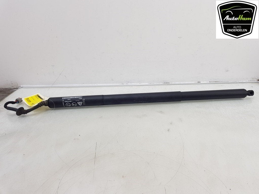 ACHTERKLEP MOTOR Ford Puma (|L1TBS404C84AA|2404605|), Gebruikt, Ford, Achterklep