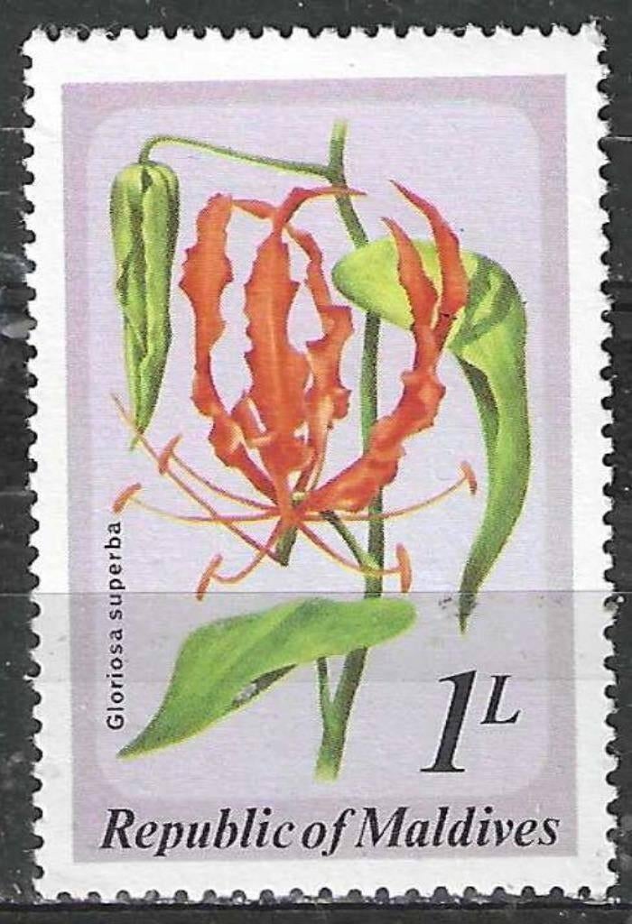 Maldiven 1979 - Yvert 776 - Glorioso superba - 1 l. (PF), Postzegels en Munten, Postzegels | Azië, Postfris, Verzenden