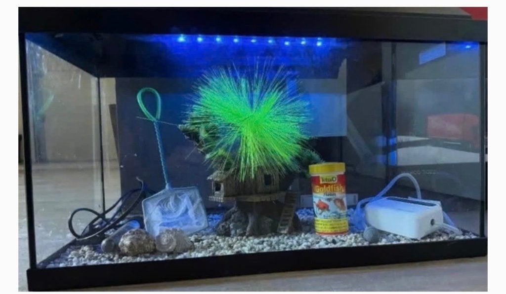 Aquarium, Dieren en Toebehoren, Ophalen, Verwarming, Decoratie, Juwel