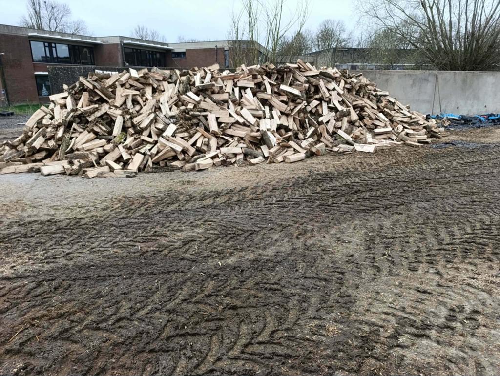 Bois de chauffage, pas sec (Charleroi), Bûches