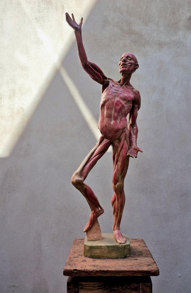Beeld The Flayed Man (De Gevilde Man), Antiek en Kunst, Kunst | Beelden en Houtsnijwerken, Beeld, Gips, Man, 1 meter - 2 meter