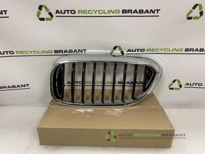 Grille van een BMW 5-Serie, Gebruikt, -, -, Ophalen of Verzenden