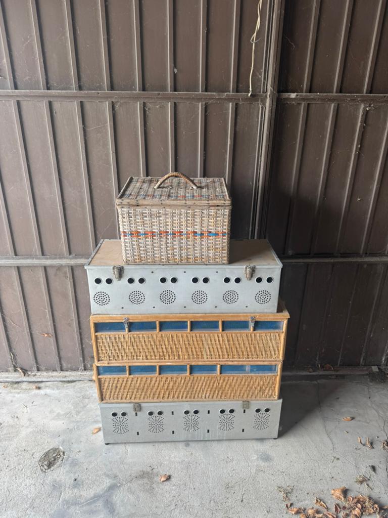 Divers paniers/valises de transport à pigeons à vendre