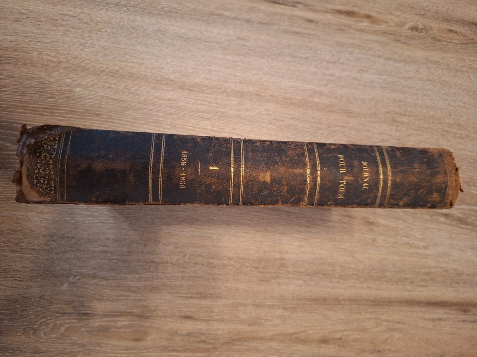 Krantenboek van 1855 tot 1856