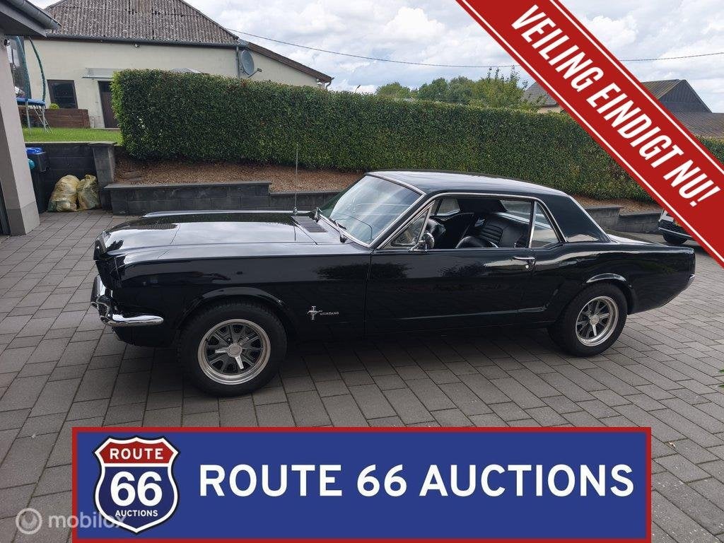 Ford Mustang Hardtop 289 V8 | 1965 | Route 66 Auctions, Achat, Entreprise, Boîte manuelle, Autre carrosserie