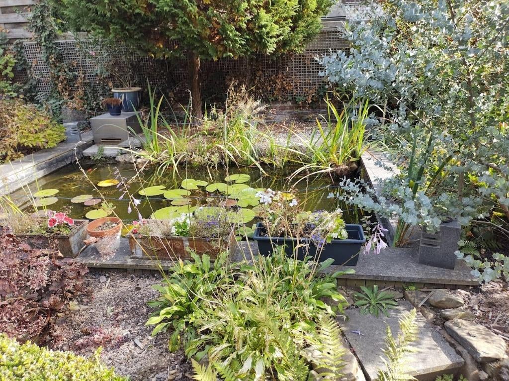 vijverfolie, planten,  pomp , beschermkap, vissen., Ophalen, Gebruikt