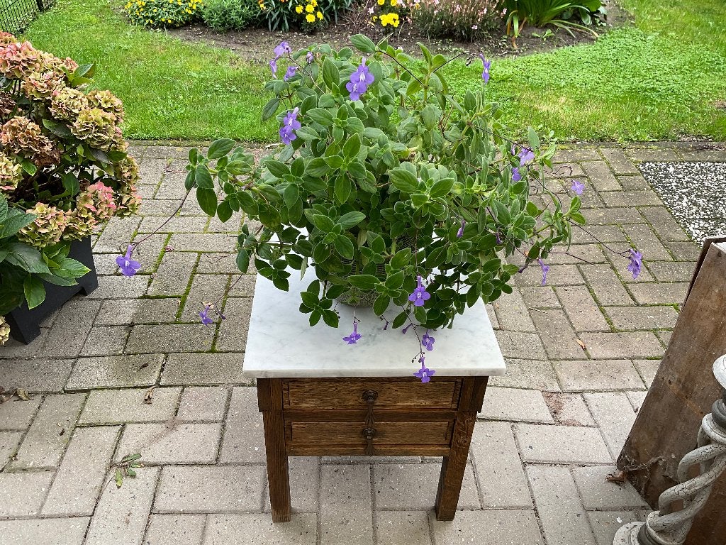Antiek Eiken bijzet meubel / plantentafeltje, Enlèvement