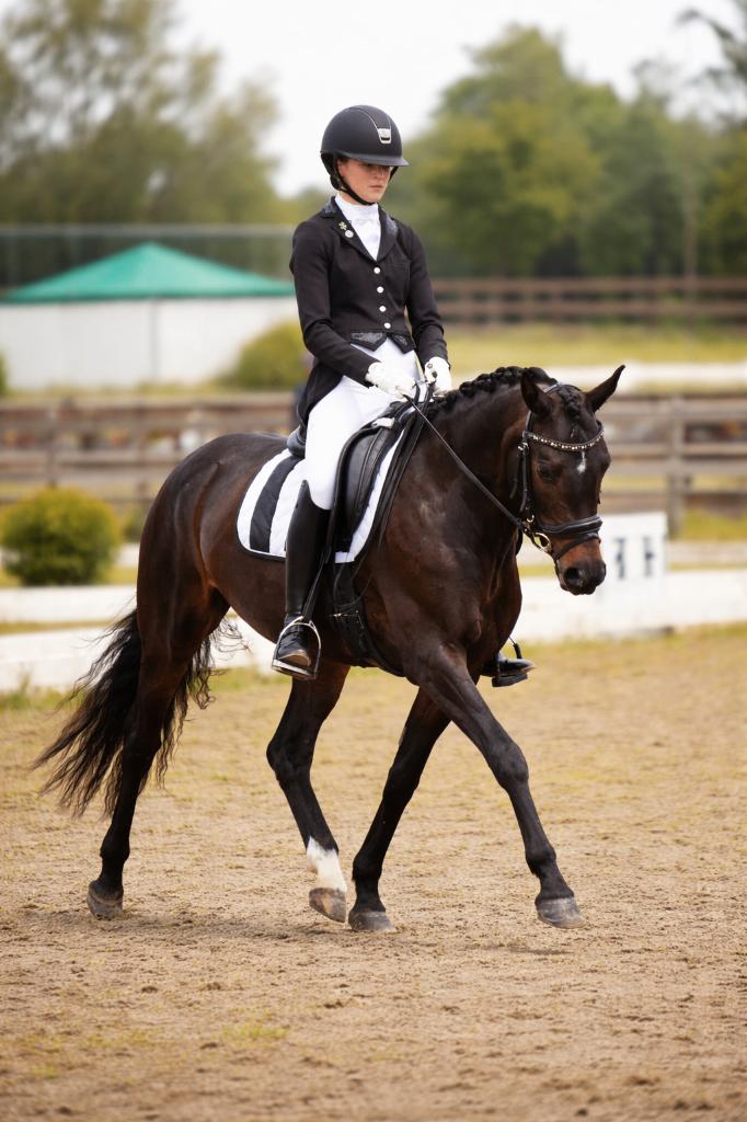 Z1 dressuur geklasseerde D-pony merrie van 8 jr oud, Dieren en Toebehoren, Merrie, Dressuurpony, 7 tot 10 jaar, D pony (1.37m tot 1.48m)