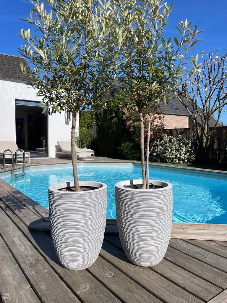 2 grands pots de jardin CAPI, Ophalen of Verzenden, Zo goed als nieuw, Tuin