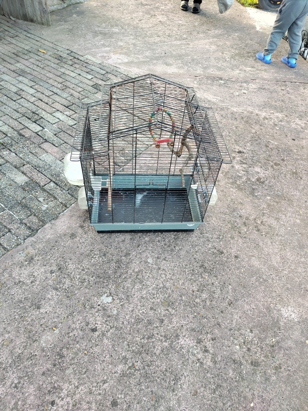 cage à perruches, Animaux & Accessoires, Enlèvement