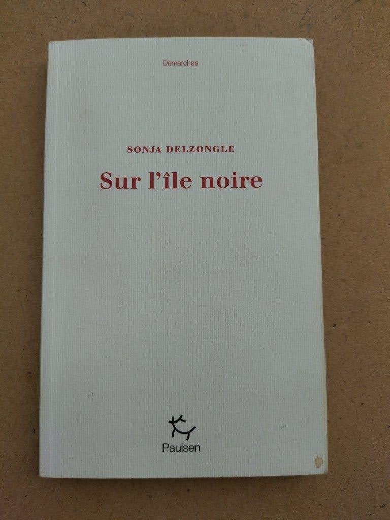Sur l'île noire (mythe du Loch Ness) / Sonja Delzongle, Livres, Histoire mondiale, Enlèvement ou Envoi, Comme neuf, Europe, Sonja Delzongle