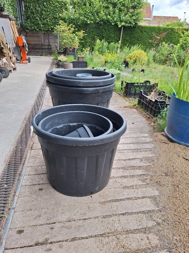plantkuip, plantenbak, boomcontainer, Rond, Enlèvement, Utilisé, 60 à 100 cm
