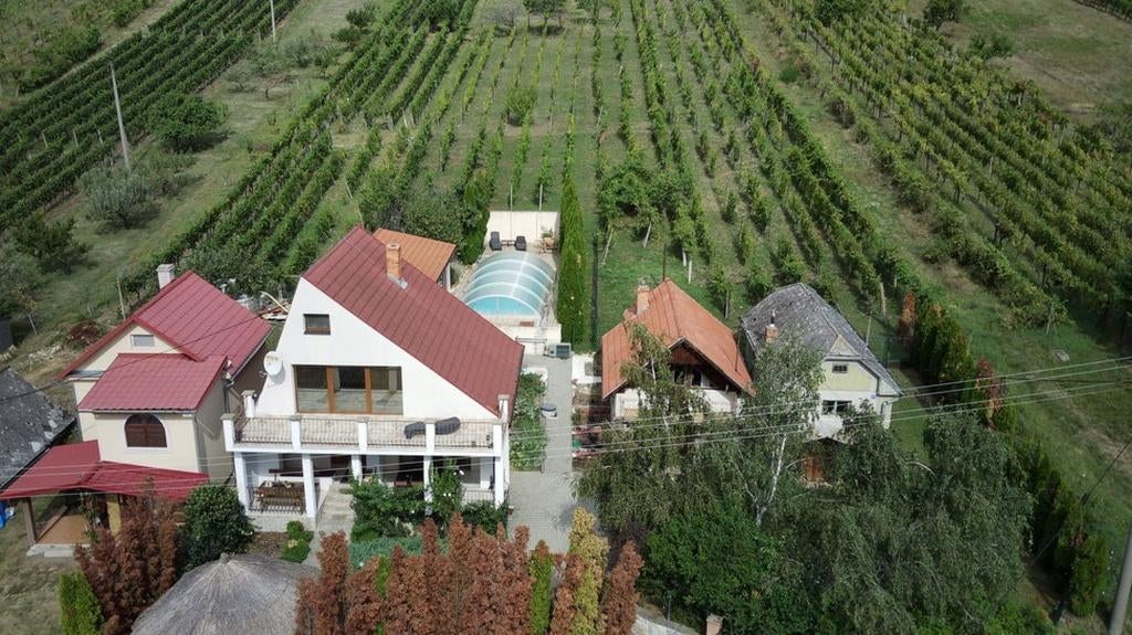 Haus mit Nebenhäusern und Weinberg à Vinica/Slovaquie, Immo, Étranger, Europe autre, Maison d'habitation, Village