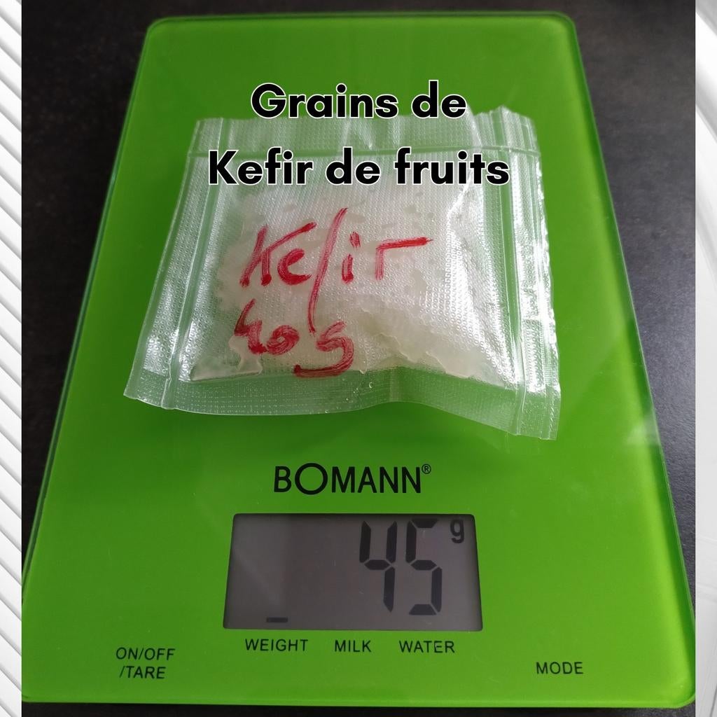 Ferment Kéfir de fruits - Kéfir d'eau (40 g ou 80 g), Envoi, Comme neuf