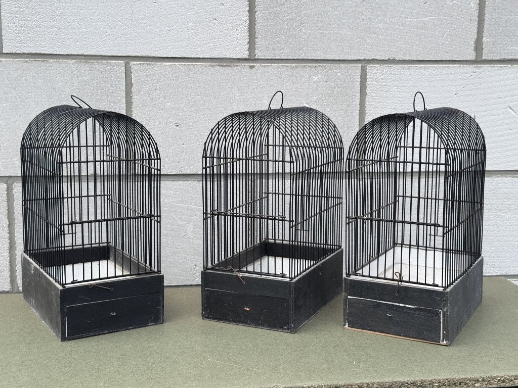3 vogelkooitjes, Ophalen