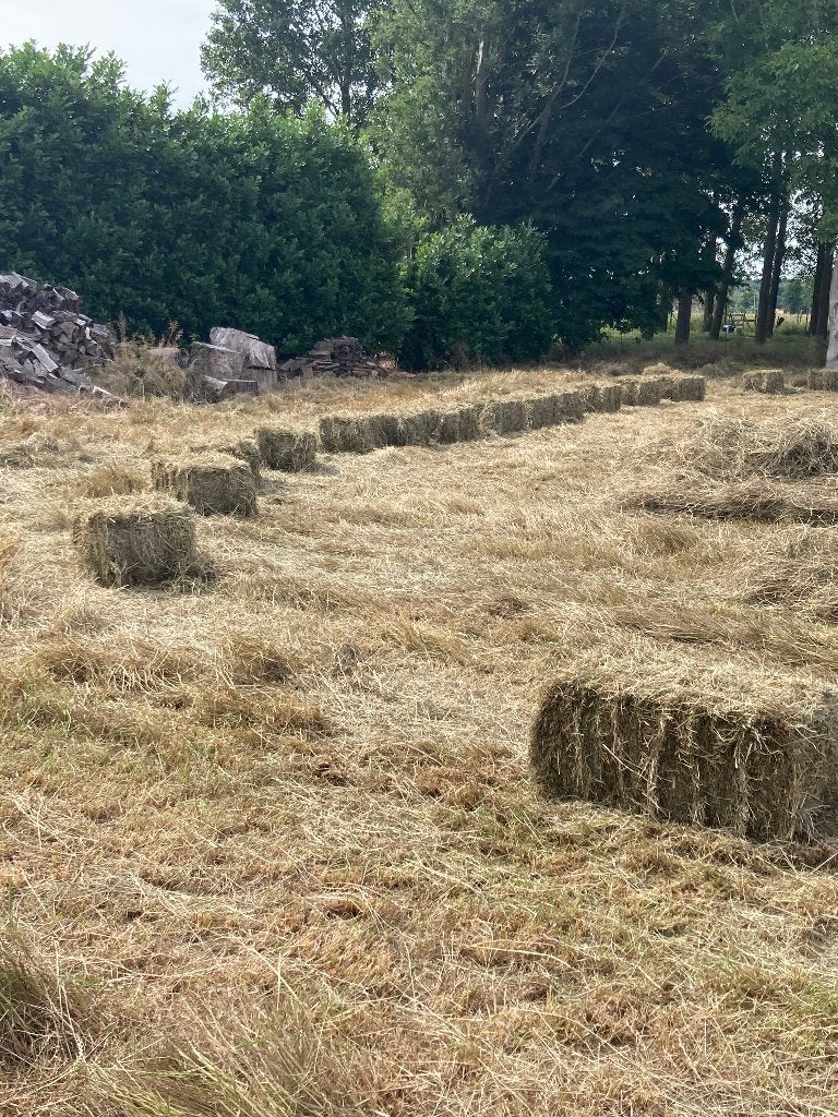 Hooi en stro te koop, Dieren en Toebehoren, Dierenvoeding, Ophalen