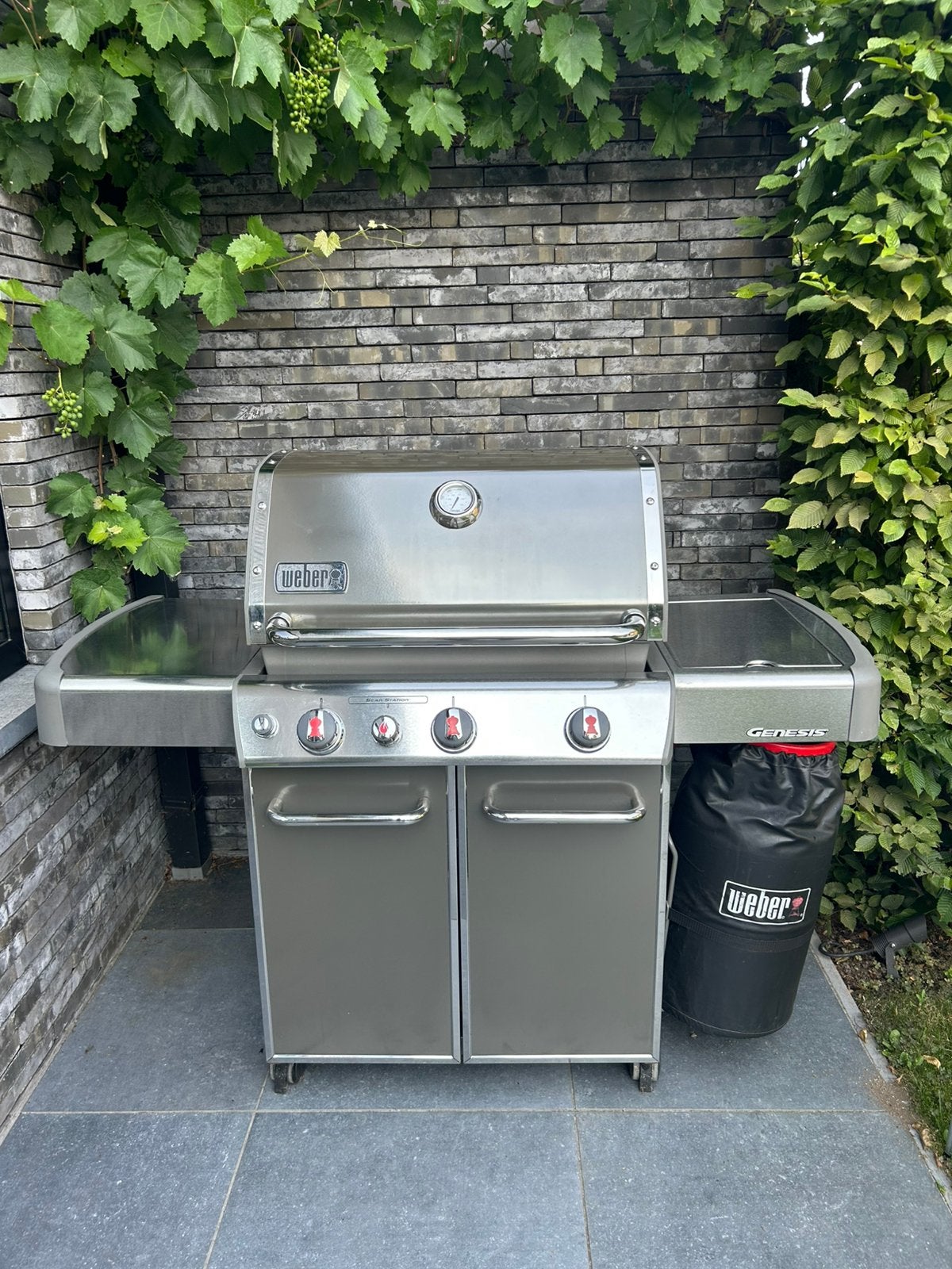 Weber Genesis Gas BBQ, Enlèvement, Utilisé