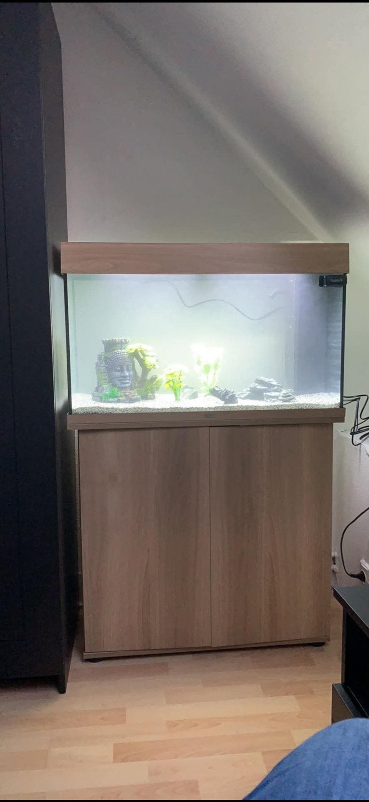 Juwel aqarium met meubel, Enlèvement, Comme neuf, Juwel
