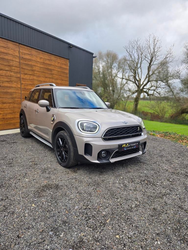Mini Cooper S Countryman SE Alle 4, Automaat, Lederen bekleding, Leder, Bedrijf