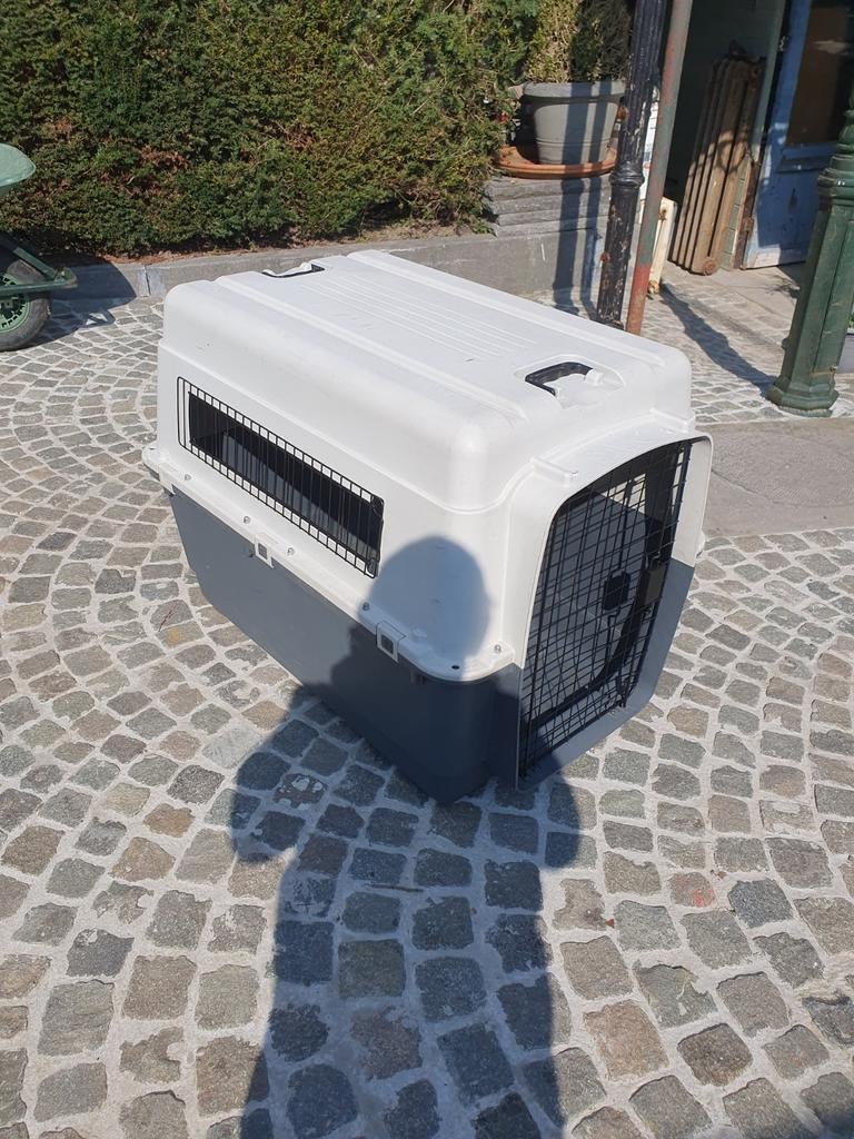 Transport box voor hond xxl, Enlèvement