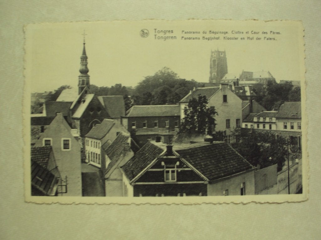 57518 - TONGEREN - PANORAMA BEGIJNHOF - ZIE 2 FOTO'S, Ophalen of Verzenden
