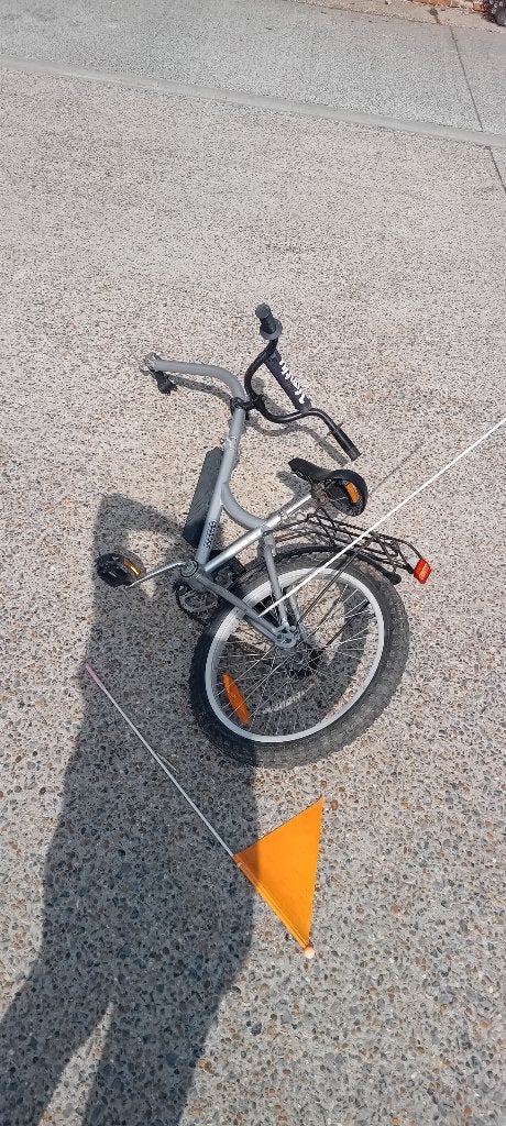 Vélo remorque pour enfant, Enlèvement, Utilisé, Vélo suiveur, 40 à 60 kg