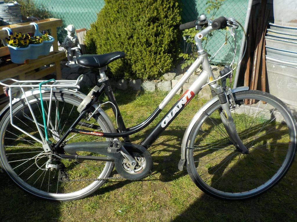Damesfiets Giant, Enlèvement, Giant