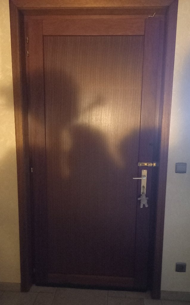 Houten deur Merbau, voordeur, 215 cm of meer, Hout, Ophalen, 100 tot 120 cm