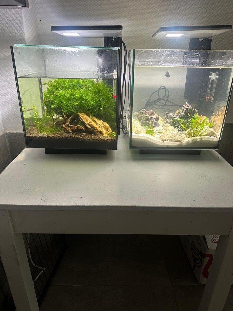 Aquarium, Ophalen, Filter