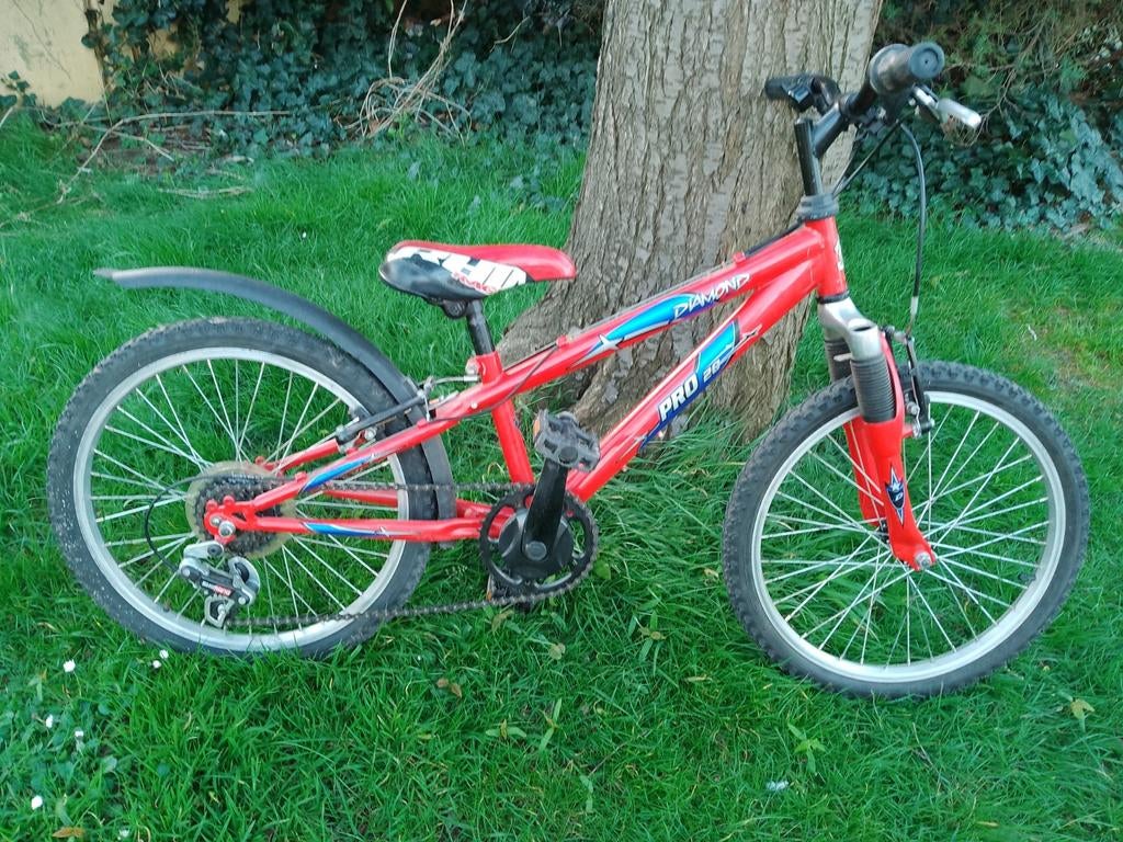 Diamond pro 20., Fietsen en Brommers, Ophalen