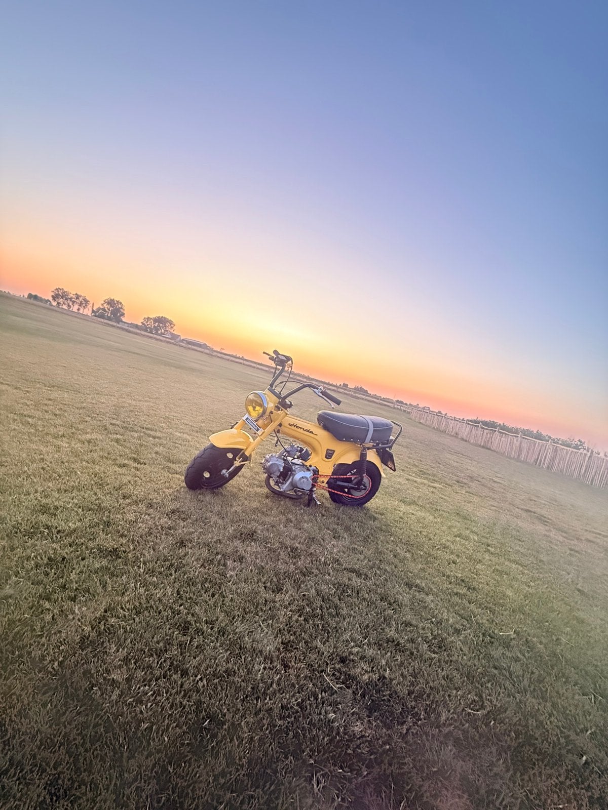 Honda dax lowrider, Ophalen of Verzenden, Zo goed als nieuw, Honda
