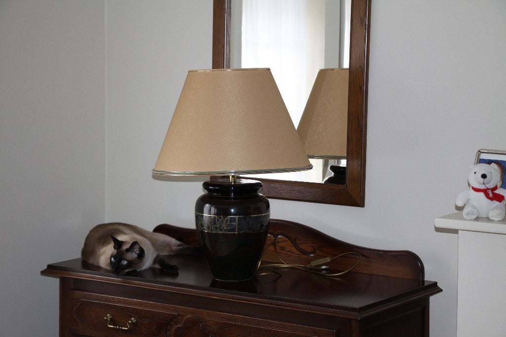 Lampadère, Enlèvement