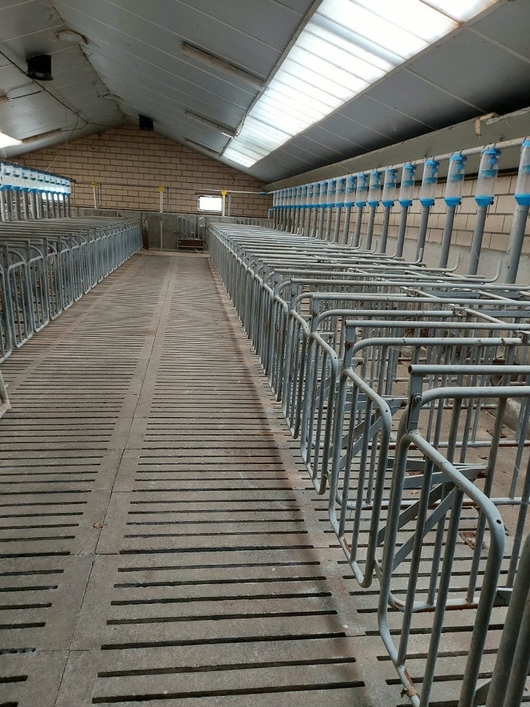Stal inrichting, Avril