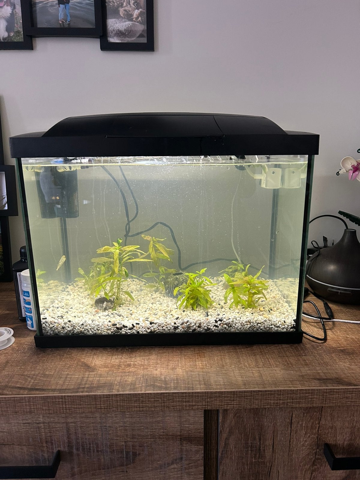Superfish aquarium 50L, Couvercle inclus, Aquarium vide, Comme neuf, Enlèvement