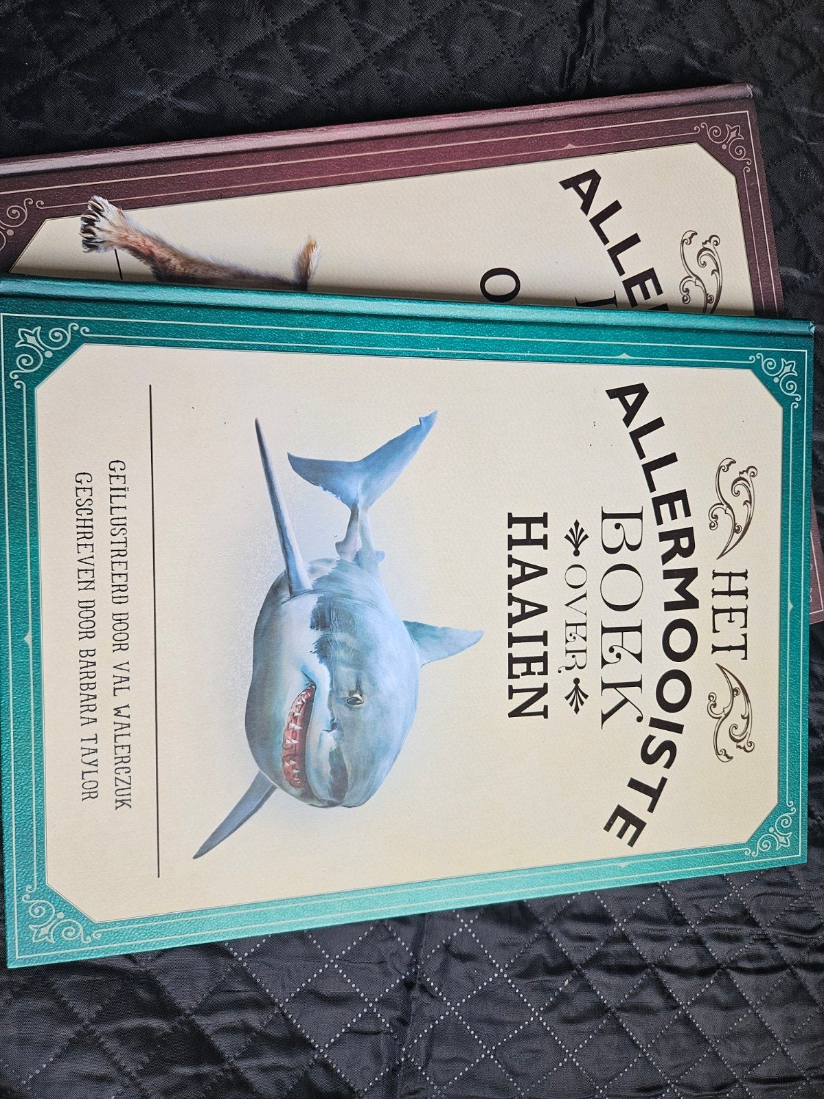 Barbara Taylor - Het allermooiste boek over haaien, Ophalen, Barbara Taylor