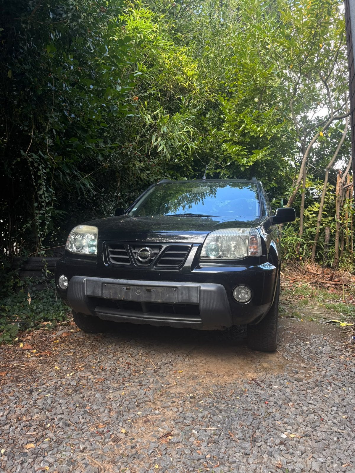 Nissan Xtrail 2,2 diesel, Autos, Achat, Beige, Boîte manuelle, 5 portes