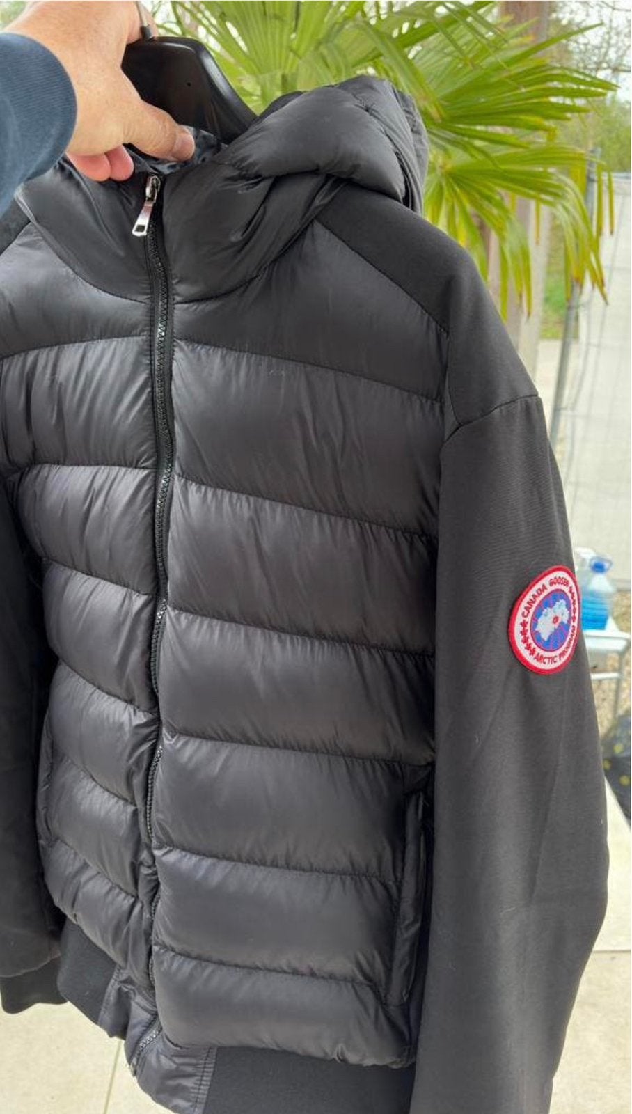 Canada goose, Kleding | Heren, Ophalen of Verzenden, Nieuw